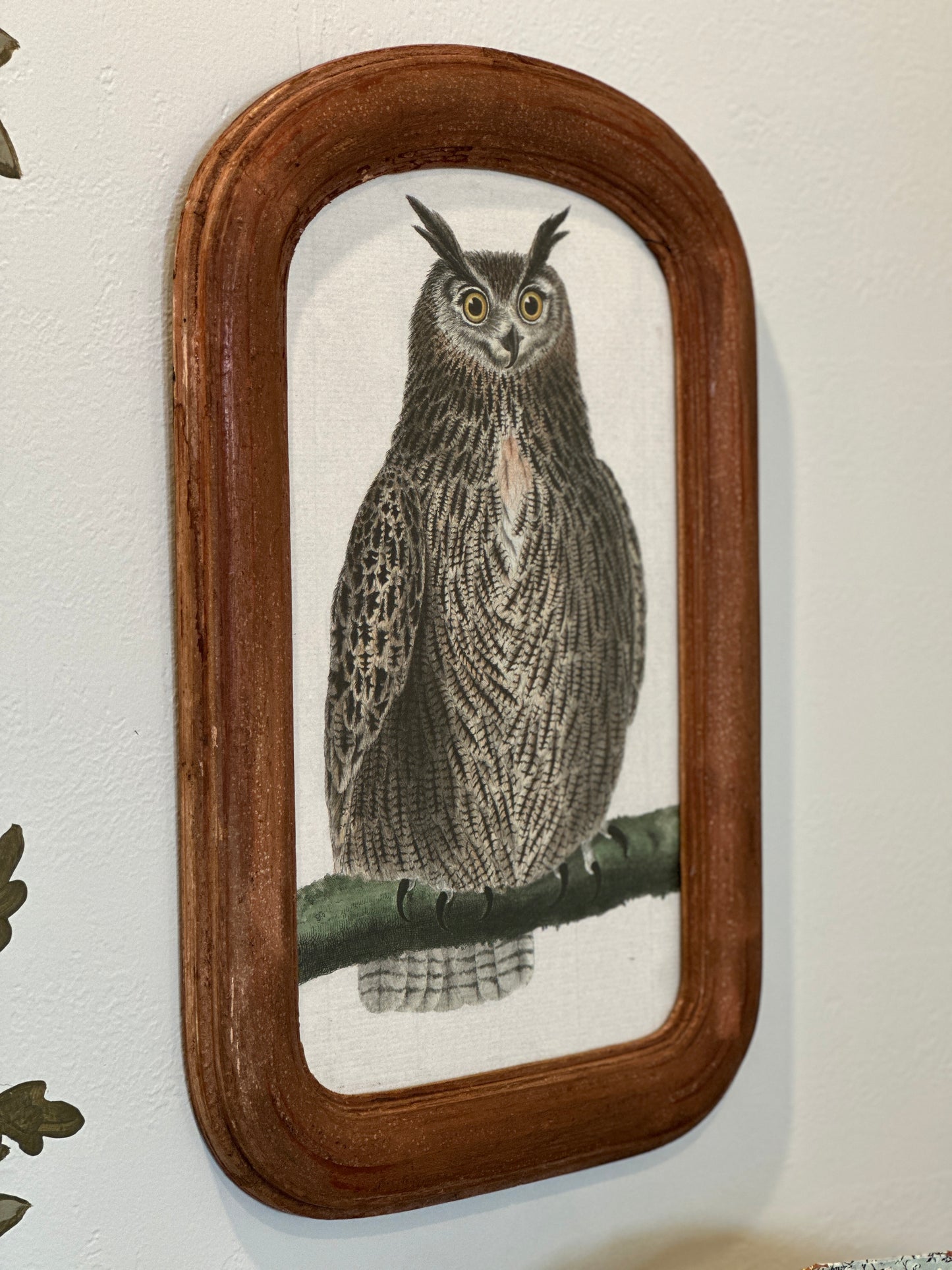 Mary Maguire Owl in Antique Wood Frame