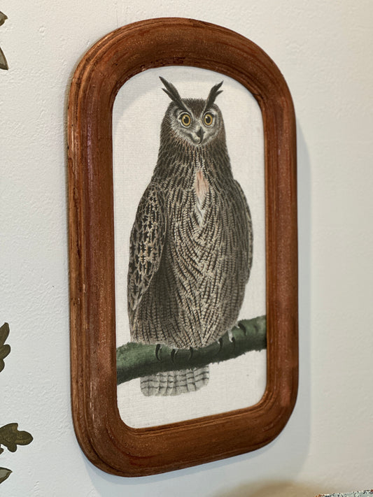 Mary Maguire Owl in Antique Wood Frame